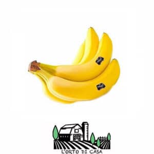 banane l'orto di casa